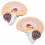 human-brain-model-life-size-2-parts-hand-painted-with-numbered-structures