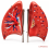 Human-Lung-Anatomy-Model-Life-Size-4-Parts